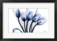 Marvelous Indigo Tulips 2 Fine Art Print
