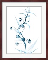 Blue Globe Lily Fine Art Print