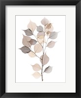 Sandy Myrtle Tree Fine Art Print