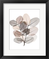 Earth Tone  Bunch Fine Art Print