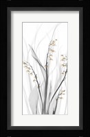 Delightful Oasis 1 Framed Print