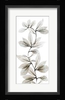 Sandy Wonder 2 Framed Print