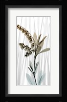 Suave Snowdrops 1 Framed Print
