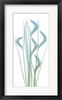 Serene Flourish 1 Fine Art Print