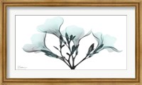 Oleander Mist 1 Fine Art Print