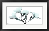 Oleander Mist 1 Fine Art Print