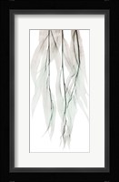 Seashore Growth 1 Framed Print