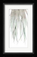 Seashore Growth 2 Framed Print