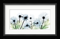 Crystal Brilliance 1 Framed Print