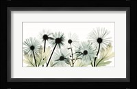 Crystal Brilliance 2 Framed Print