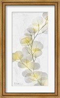 Eucalyptus Sunshine 2 Fine Art Print