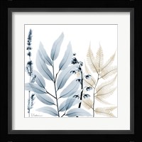 Dusk And Dawn 1 Framed Print