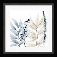 Dusk And Dawn 2 Framed Print