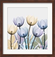 Tulip Collage 1 Fine Art Print
