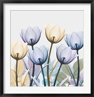 Tulip Collage 1 Fine Art Print