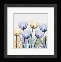 Tulip Collage 1 Fine Art Print