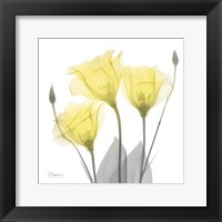Brilliant Gentian Buddies 1 Fine Art Print