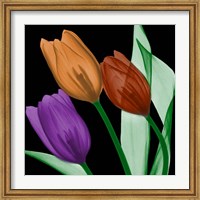 Jeweled Tulips 4 Fine Art Print