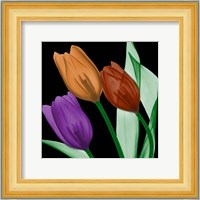 Jeweled Tulips 4 Fine Art Print