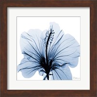 Indigo Hibiscus Fine Art Print