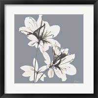 Splendid Neutral Beauty 1 Fine Art Print