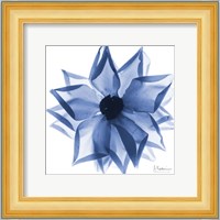 Indigo Rose Petals 1 Fine Art Print