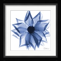 Indigo Rose Petals 1 Fine Art Print