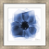 Indigo Rose Petals 2 Fine Art Print