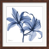 Indigo Infused Lily Fine Art Print