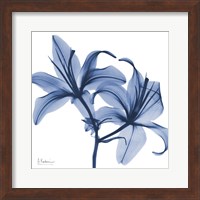 Indigo Infused Lily Fine Art Print