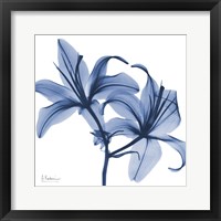 Indigo Infused Lily Fine Art Print