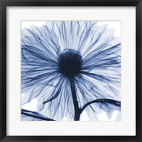Indigo Chrysanthemum Fine Art Print