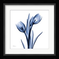 Indigo Loved Tulips Fine Art Print