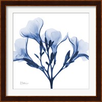 Indigo Oleander Fine Art Print