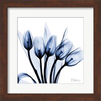 Marvelous Indigo Tulips Fine Art Print