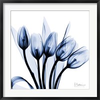 Marvelous Indigo Tulips Fine Art Print