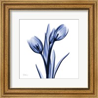 Enchanted Indigo Tulips Fine Art Print