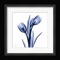 Enchanted Indigo Tulips Fine Art Print