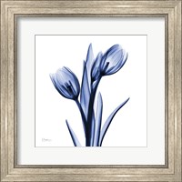 Enchanted Indigo Tulips Fine Art Print