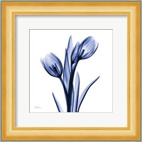 Enchanted Indigo Tulips Fine Art Print