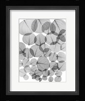 Baybean Leaves Fine Art Print