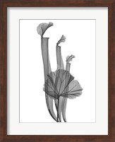 Marching Floral Fine Art Print