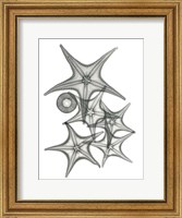 Starfish Bunch F149 Fine Art Print