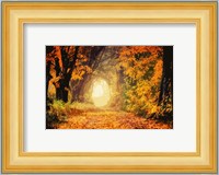 Peeking Light Fine Art Print