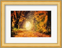 Peeking Light Fine Art Print