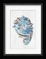 Urban Sea Shell 2 Framed Print