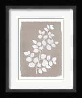 Natural Silhouetted Growth 2 Framed Print