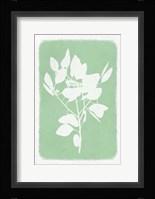 Soft Botanical Feelings 1 Framed Print