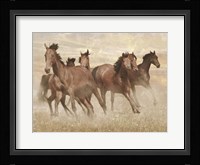 Running Free 1 Fine Art Print