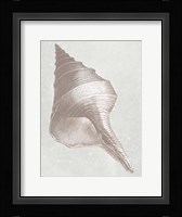 Coastal Bliss 1 Framed Print